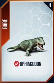 Ophiacodon Card