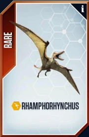 Rhamphorhynchus Card
