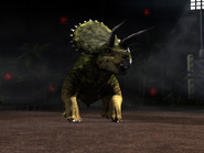 Level 30 triceratops in battle