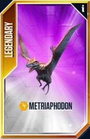 Metriaphodon Card