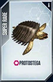 Protostega Card