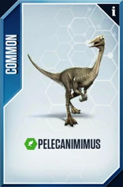 Pelecanimimus Card