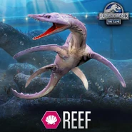 Reef aquatic poster