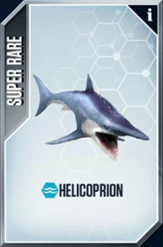 Helicoprion Card