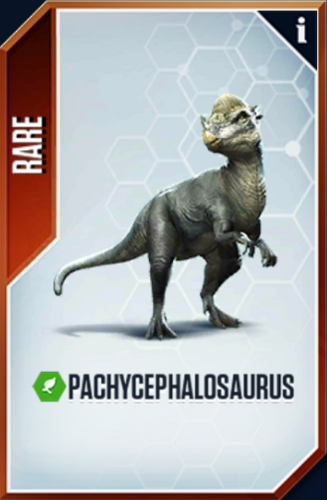 Pachycephalosaurus Jurassic World The Game Wiki Fandom 1149