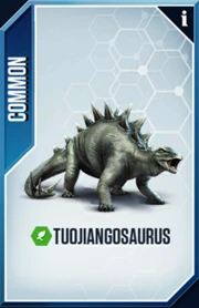 Tuojiangosaurus Card
