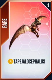 Tapejalocephalus Card