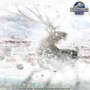 Eucladoceros Teaser.png (610 KB)