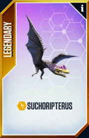 Suchoripterus Card