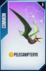 Pelecanipteryx Card