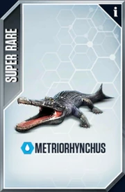 Metriorhynchus Card