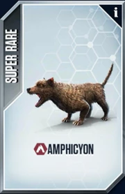 Amphicyon Card