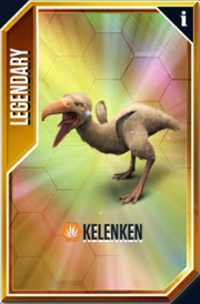 Kelenken Card