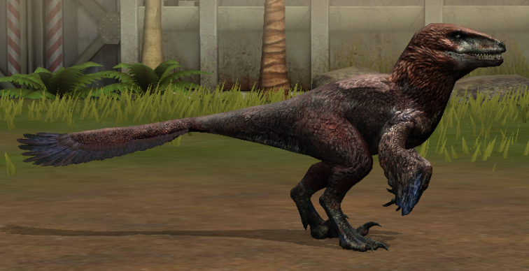 Why does a not rendered in deinonychus look like a troodon(I