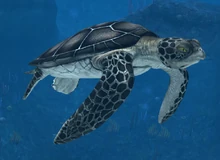 Archelon Jurassic World The Game Wiki Fandom