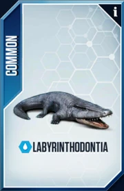 Labyrinthodontia Card