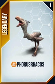 Phorusrhacos Card