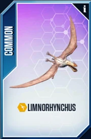 Limnorynchus Card