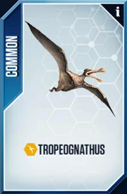 Tropeognathus Card
