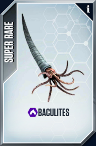 Baculites Card