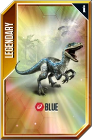 Blue Card