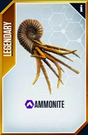 Ammonite Card