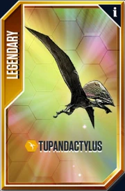 Tupandactylus Card