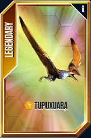 Tupuxuara Card