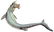 Mosasaurus 21copy