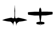 Comparison of Q. northropi with a  light aircraft.