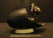 Reconstructed cast by  of a Maiasaura emerging from its egg