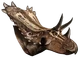 Jc Mojoceratops-removebg-preview