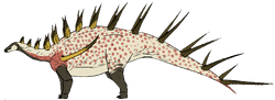 Life restoration