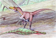 Deltadromeus feeding on a 