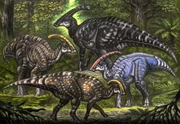 Restoration of , P. tubicen, P. walkeri, and P