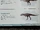 Indosuchus