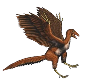 Archaeopteryx | Jurassic Park Institute Wiki | Fandom