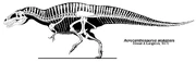 Skeletal diagram