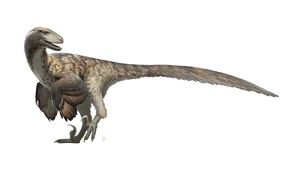 Life restoration