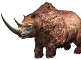 Woolly rhinoceros