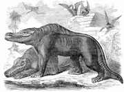 Reconstruction of Megalosaurus and  by  from 1859. This is typical of early reconstructions in presenting Megalosaurus as a ; modern reconstructions make it .