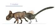 Size comparison of the Fighting Dinosaurs