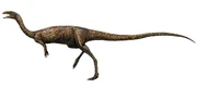 Restoration of Elaphrosaurus with head and hands based on the related 