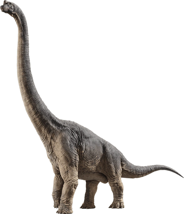 Brachiosaurus, Jurassic Park Institute Wiki