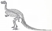 Von Meyer's restoration of Megalosaurus from before 1897; showing it bipedal with long neural spines