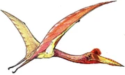 Restoration of a Quetzalcoatlus in flight