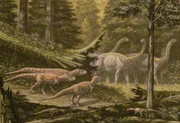 Saltasaurus herd passes  and 