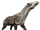Urtinotherium