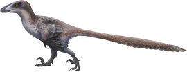 Restoration of a walking individual