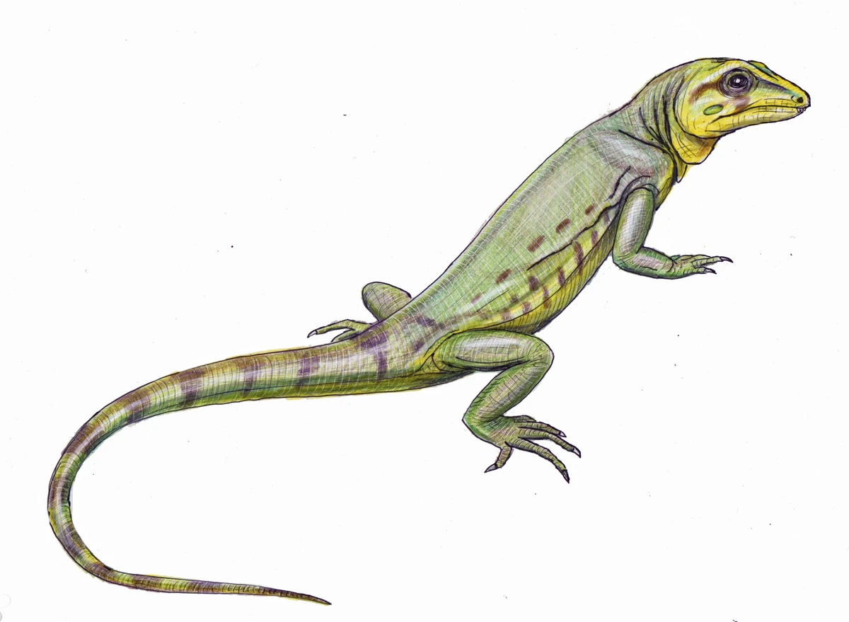 Bolosaurus Jurassic Park Institute Wiki Fandom